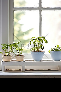 窗边长凳旁边有两棵白色的小盆栽