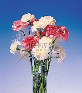 教师节公众号背景图片_一束粉色和白色康乃馨放在蓝色物体上