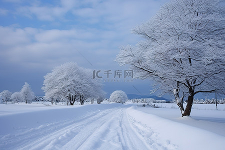 暴风背景图片_暴风雨天的积雪道路