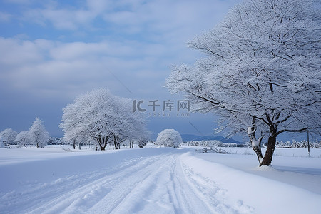 暴风雨天的积雪道路