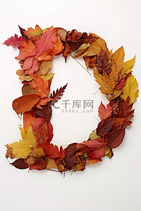 秋天的树叶组成字母 d