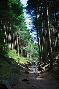 台湾 山形县