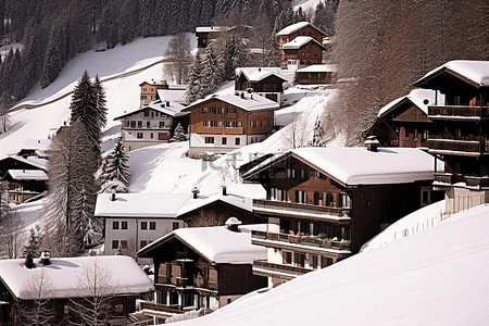 一个小山村坐落在白雪覆盖的山上