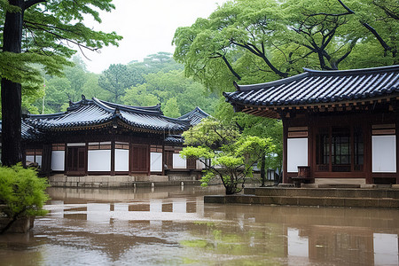 朝堂之上背景图片_一座被水淹没的韩国风格的房子，里面有树