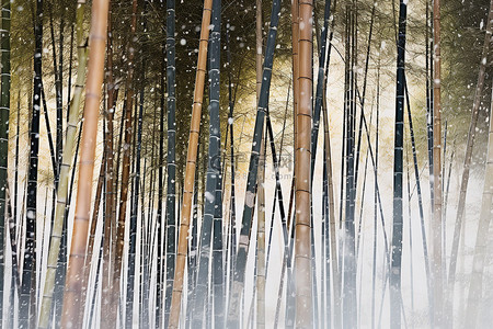 雪背景图片_雪中​​的竹树