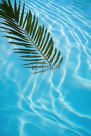 中央空调背景图片_游泳池中央留下一片棕榈叶