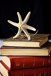 一只海星坐在书的上面