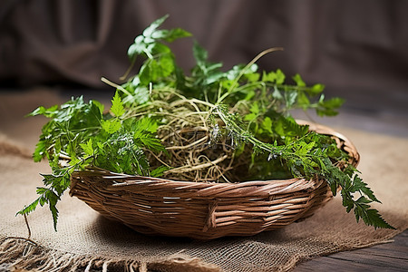 藤背景图片_藤碗上有蕨类植物