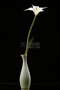 一个花瓶上有一朵美丽的白花