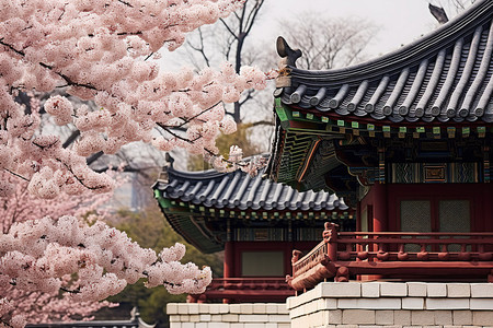 砖石背景图片_韩国传统砖石建筑