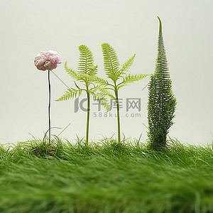这三种植物是从绿色草坪上雕刻出来的