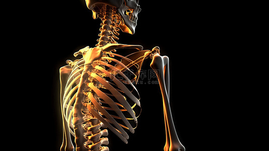 3D 渲染中脊柱受损骨架的数字描绘