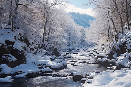 一条河流，位于树木繁茂的地区，岩石和树木被雪覆盖