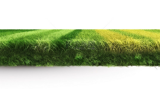 比赛足球场背景图片_3d 足球场条纹在孤立的白色背景上呈现充满活力的绿草