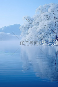 蓝色雾背景图片_湖里长满了积雪的树木