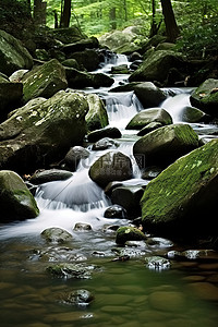 水流穿过岩石流入森林中的溪流