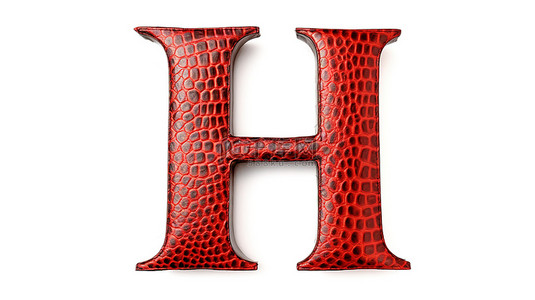 纯白色背景上的小写字母“h”