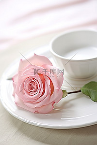 桌上的粉红玫瑰