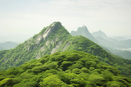 武汉金海公园山景