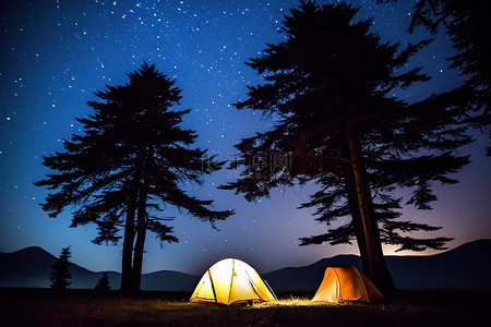 夜空下的帐篷和树木，上面有星星