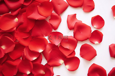 桌面背景上的红色玫瑰花瓣
