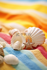 热带毛巾上的贝壳和其他物体的集合