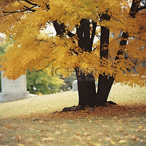 公墓背景图片_林肯公墓在秋叶照片中间