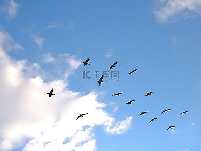 头顶发量背景图片_鸟儿在天空中飞翔，头顶是蓝天
