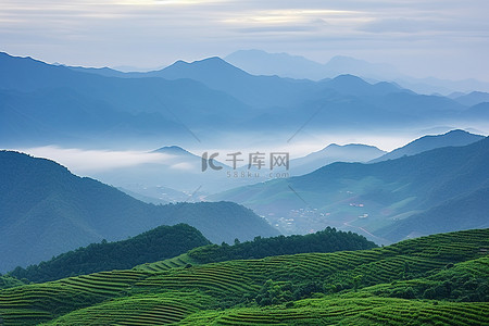 农场植物背景图片_中国常熟省的山景和雾气笼罩的农场