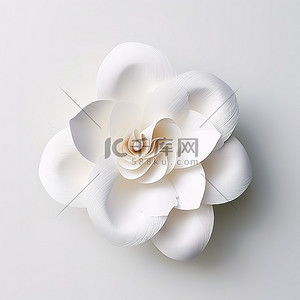 表白玫瑰背景图片_一朵白色的纸花显示在白色的表面上