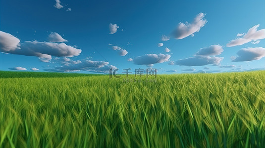 自然的天堂蓝天背景下绿草田的 3D 渲染