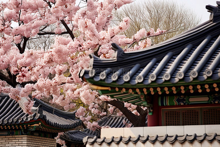 韩国传统砖石建筑