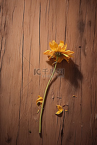艾茨比木板上的干花