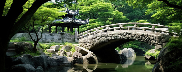 桥中背景图片_大自然中的一座桥横跨一条小溪
