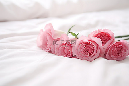 玫瑰躺在白色的床上，上面有白色的毛巾