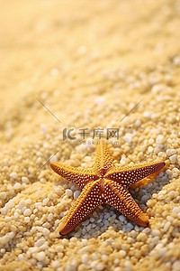 一只金色的海星躺在白色的沙滩上