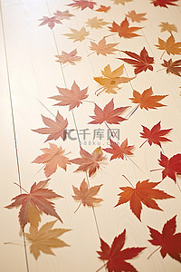 枫叶图案背景图片_秋叶排列在白色木地板上的图案