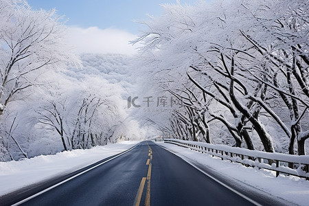 冬天雪的背景图片_有冬天雪的路 冬天风景