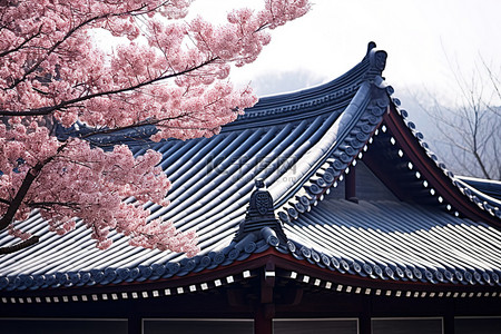 韩国背景图片_韩国禅寺
