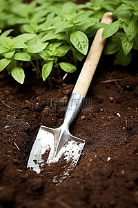 如何背景图片_如何清洁你的园艺工具