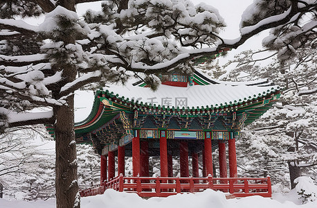 冬天雪景城堡背景图片_韩国清溪山冬宫