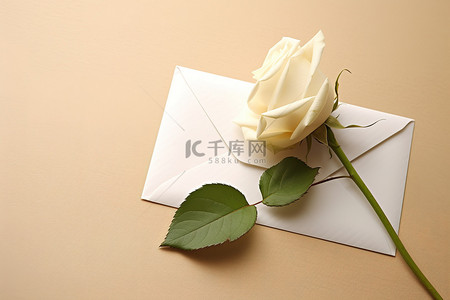米色背景上带信封的白玫瑰