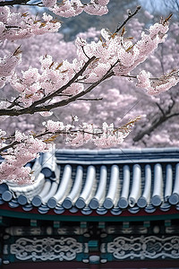 樱花背景图片_瓦顶和樱花的寺庙
