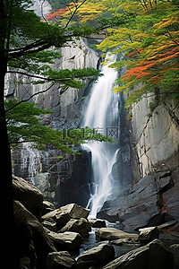 瀑布岩石背景图片_瀑布位于岩石缝隙中，周围有树木