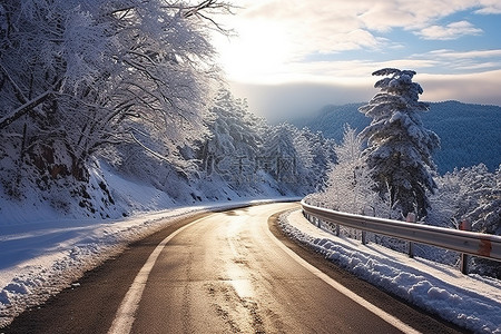 冬天雪的背景图片_冬天的路 冬天白雪皑皑的森林覆盖着阳光