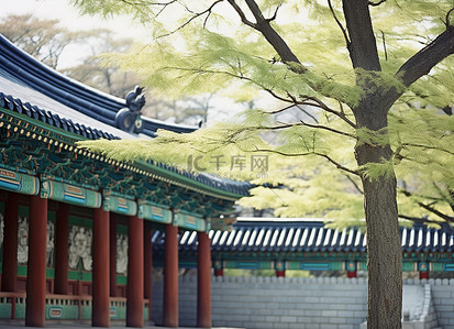 入口背景图片_首尔寺庙入口附近有树木的建筑