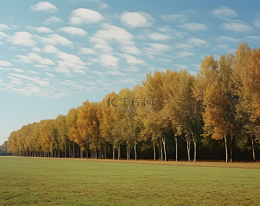 秋天的背景背景图片_秋天的田野，背景中有很多树木