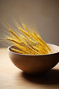 小麦黄色背景图片_有黄色小麦树枝的木碗