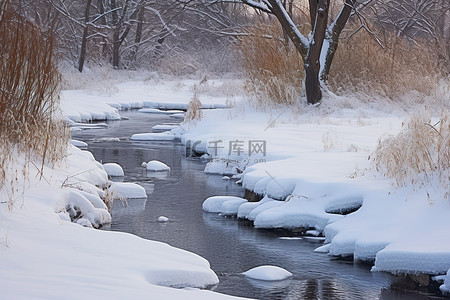 池塘被冰雪覆盖，小路上流淌着一条河流