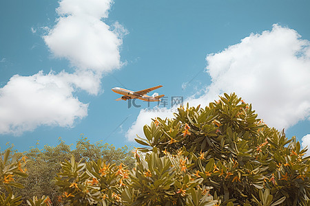 东南亚风背景图片_一架黄色和白色的飞机在蓝色多云的天空中的树木上飞行